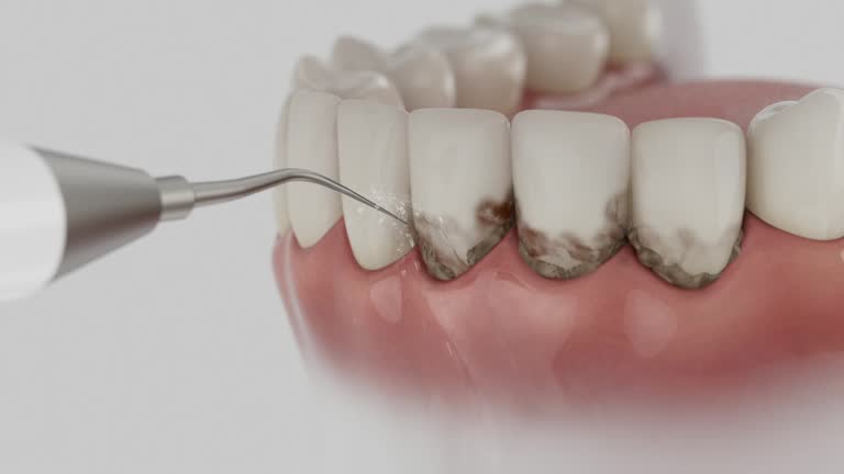 Reliable Dental contractor in Semmes, AL by Dentist Open Now